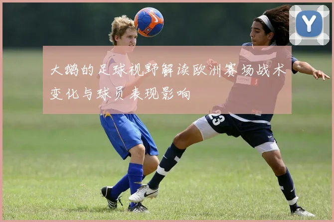 大鹅的足球视野解读欧洲赛场战术变化与球员表现影响