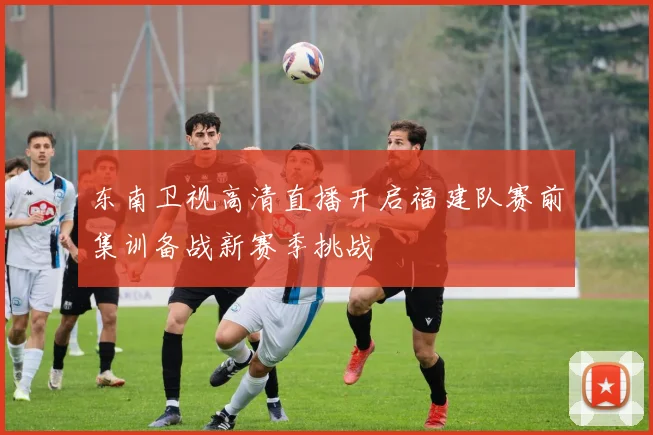 东南卫视高清直播开启福建队赛前集训备战新赛季挑战