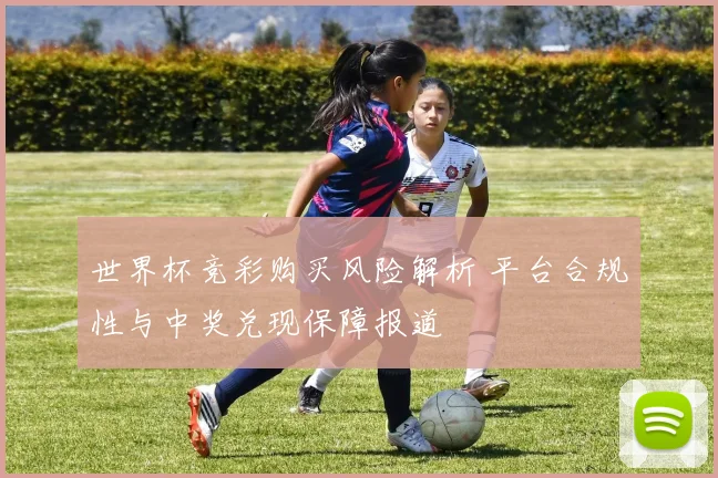 世界杯竞彩购买风险解析 平台合规性与中奖兑现保障报道