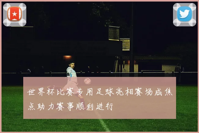 世界杯比赛专用足球亮相赛场成焦点助力赛事顺利进行