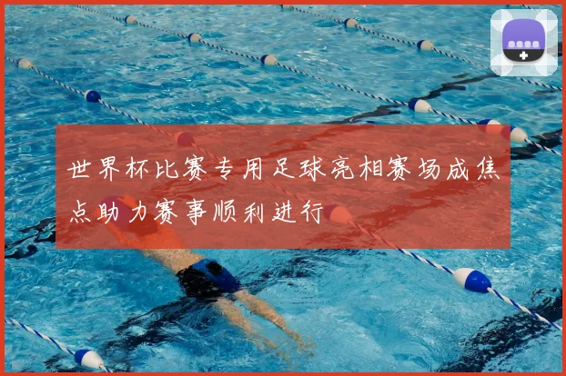 世界杯比赛专用足球亮相赛场成焦点助力赛事顺利进行