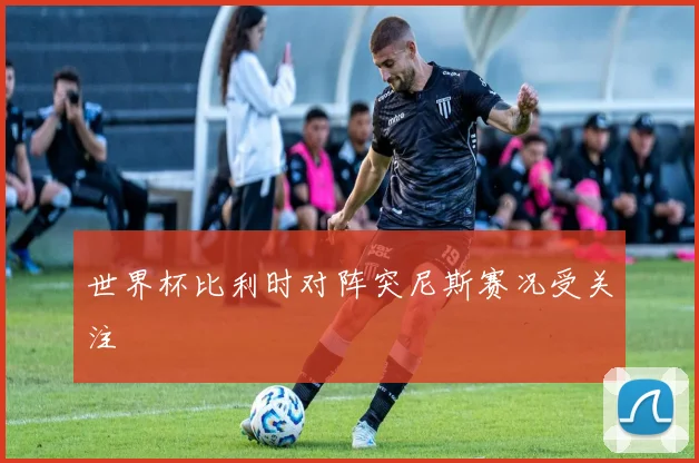 世界杯比利时对阵突尼斯赛况受关注
