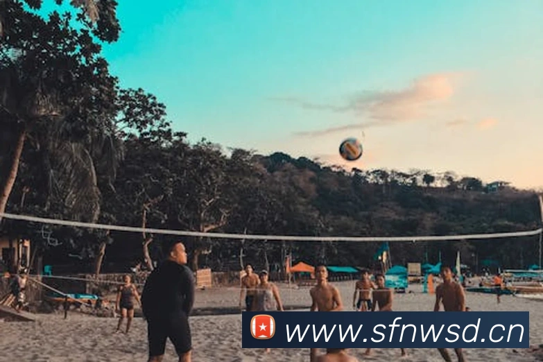 开云手机入口官方网站APP 封面图